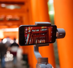 person taking picture of temple