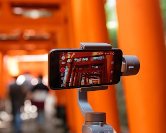 person taking picture of temple