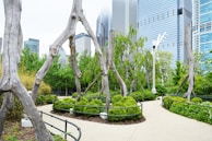 A serene city park with modern architecture reflecting the blend of nature and urban growth.