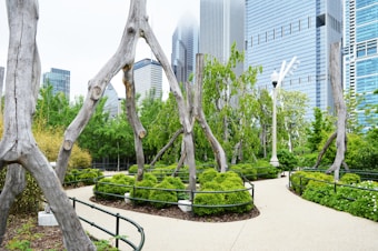 A serene park scene with winding pathways bordered by lush bushes and trees. Sculptural, bare wooden structures rise above the greenery, set against a backdrop of modern skyscrapers. The juxtaposition of nature and urban architecture creates a unique visual dynamic.