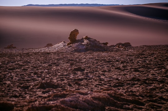 desert plain under clear skies in San Pedro de Atacama Chile