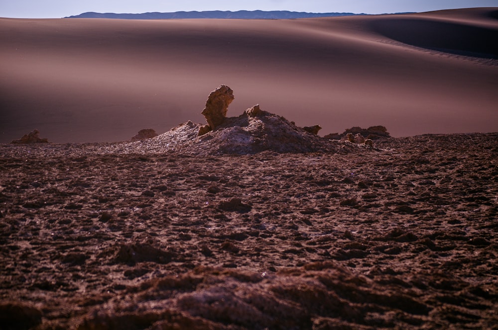 desert plain under clear skies