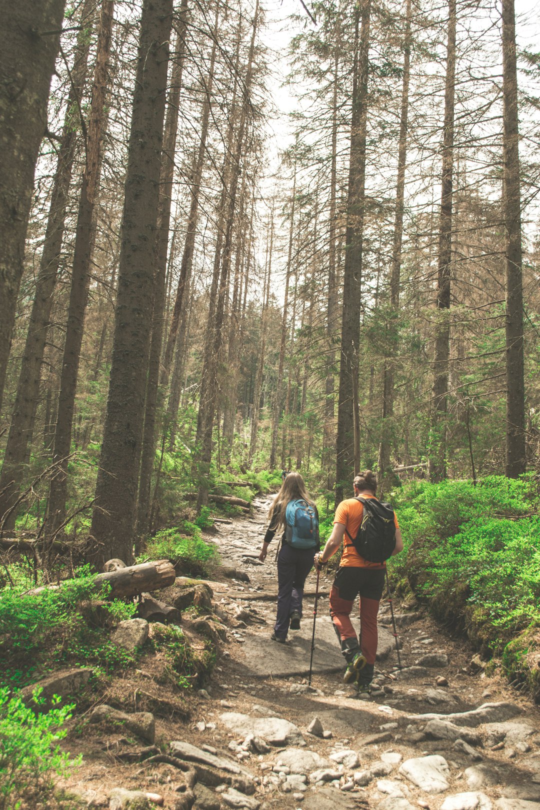 couple hiking photograph