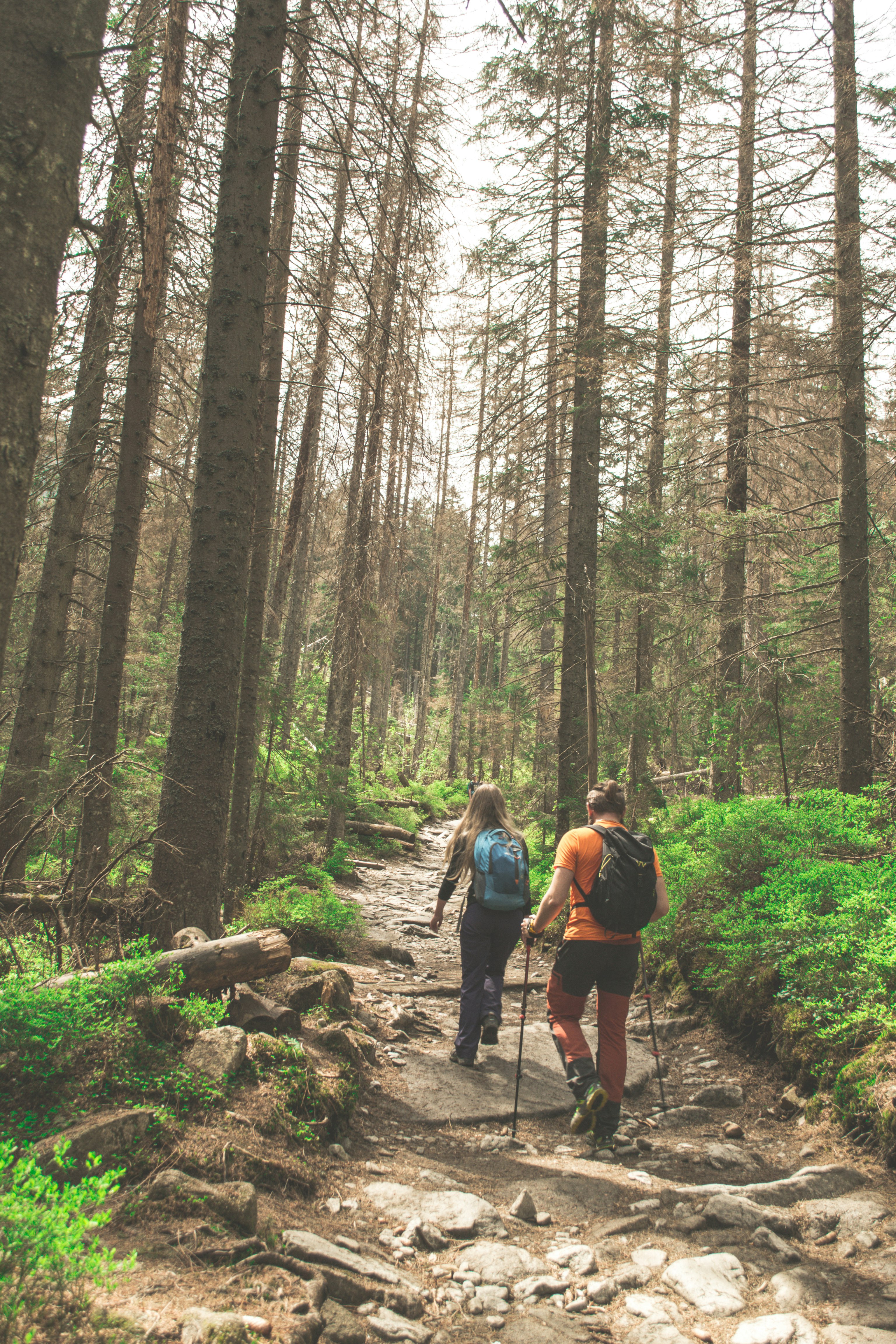 couple hiking photograph