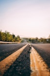 gray asphalt road in between trees