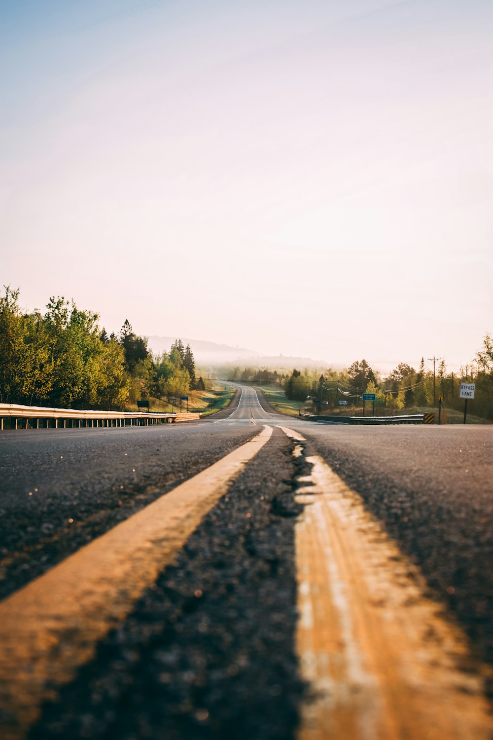 graue Asphaltstraße zwischen Bäumen