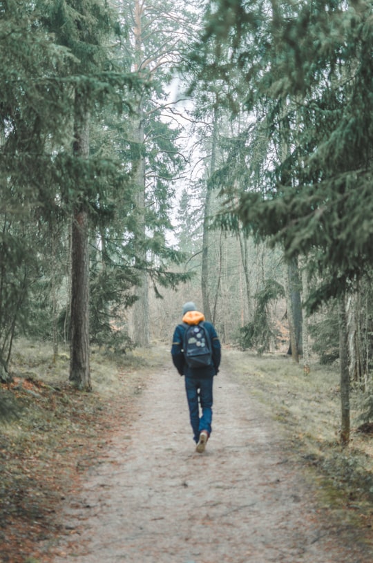 man waking narrow pathway near trees at daytime in Seurasaari Finland