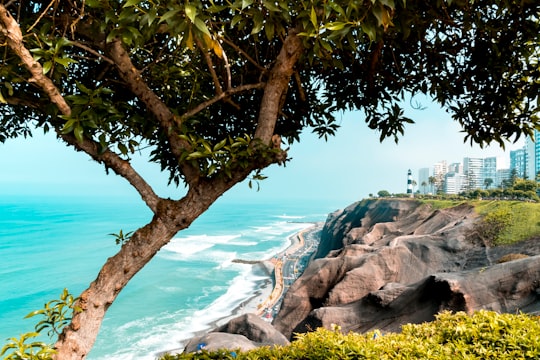Park of Love things to do in Miraflores