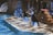 Several trainers and sea lions on a platform surrounded by water, performing in an aquatic show setting. The setup includes wooden structures and decor resembling a nautical theme, with trainers wearing matching uniforms and actively engaging with the sea lions.