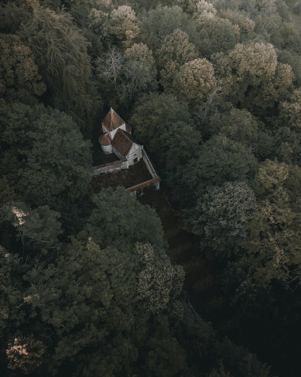 gray and white house surrounded by trees