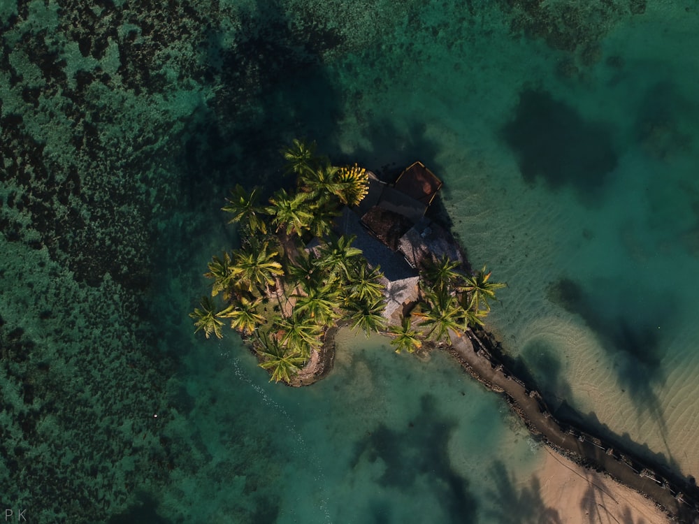 bird's-eye view of island