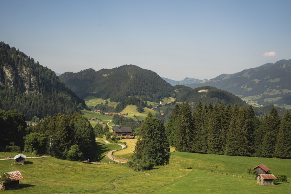 a lush green hillside covered in lots of trees