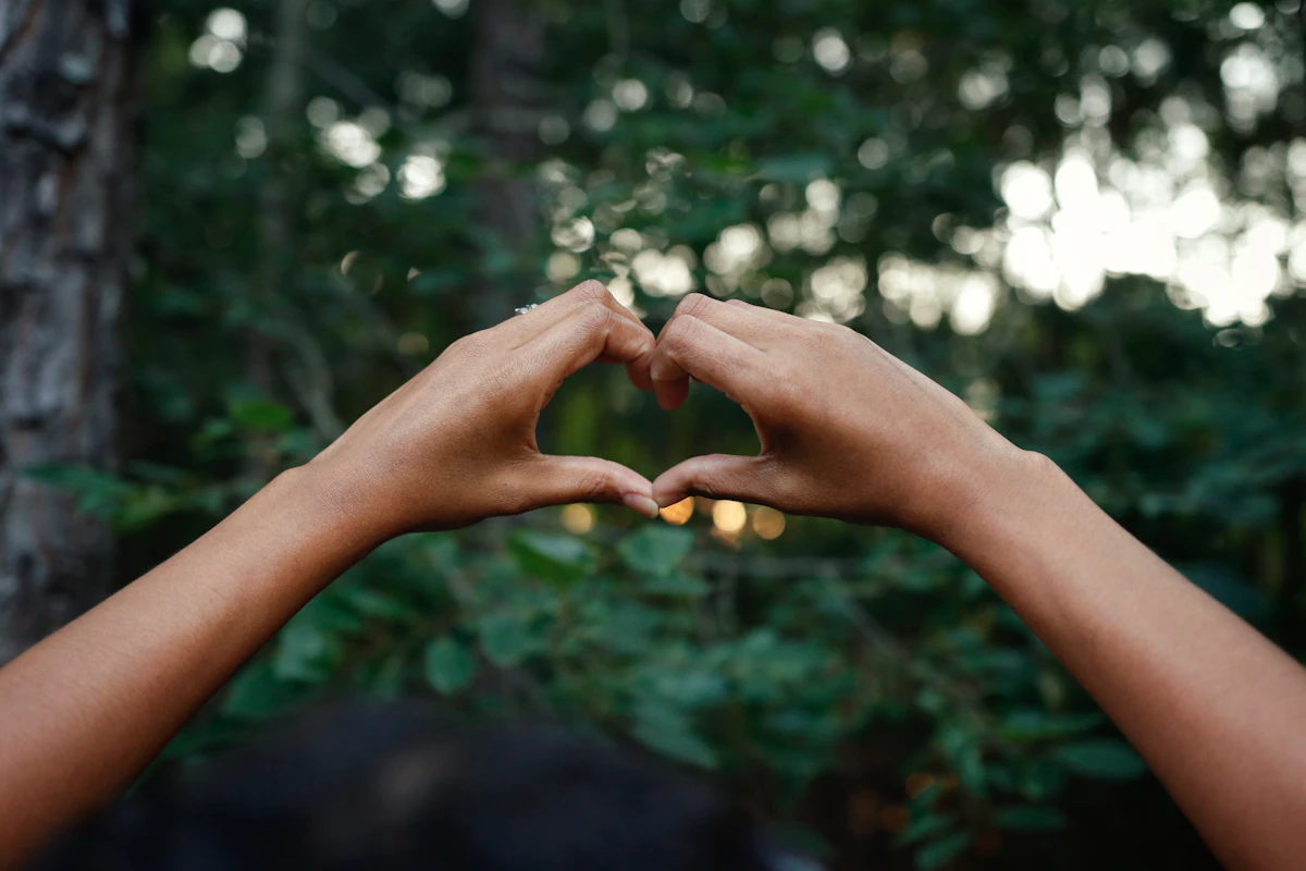 Hands forming a heart shape over green leaves, the heart center