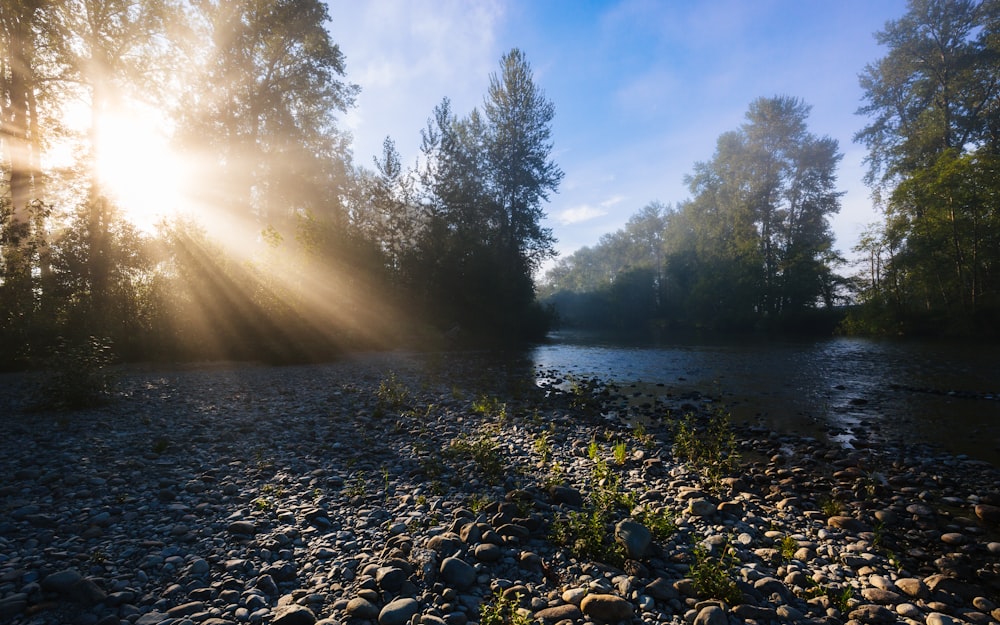 rocks near lake surrounded with tall and green trees showing sun rays