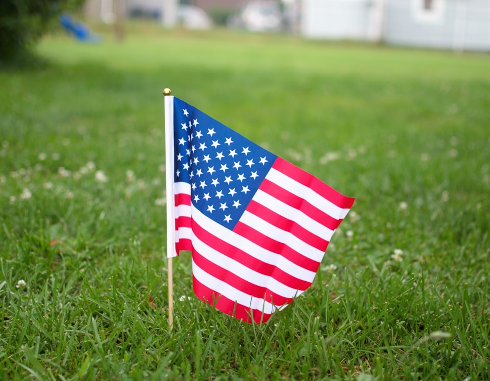 USA flag on green grass