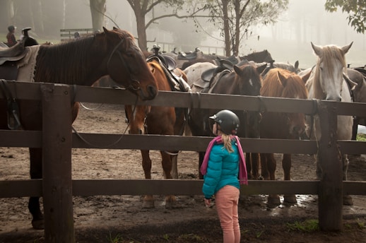 girl standing in front of group of horses