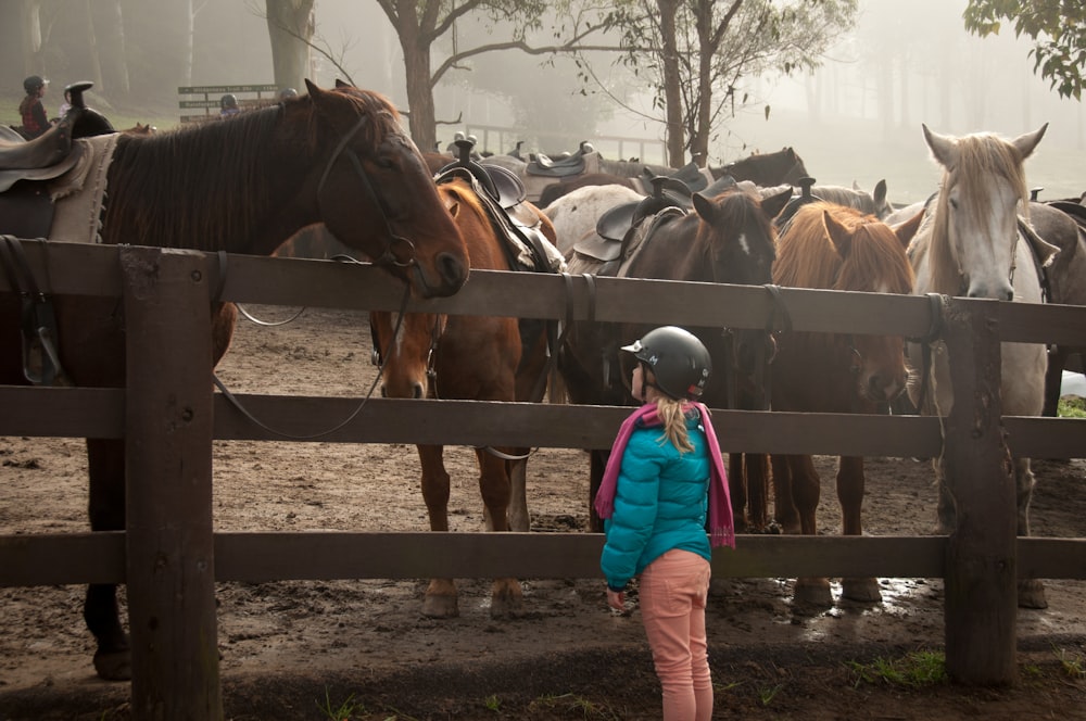 말의 무리 앞에 서있는 소녀