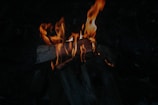 Flames rise from stacked pieces of wood, casting a warm glow against a dark background. The fire creates dynamic, flickering shapes as it consumes the fuel, with the wood partially blackened and charred.