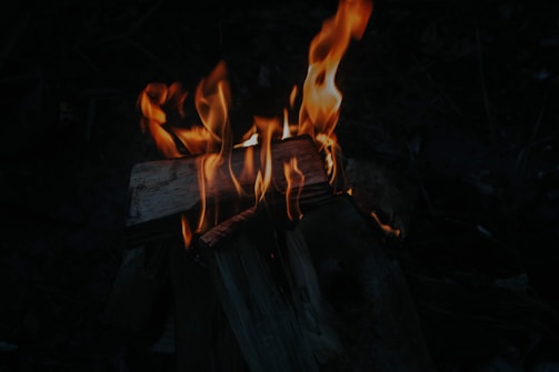 Flames rise from stacked pieces of wood, casting a warm glow against a dark background. The fire creates dynamic, flickering shapes as it consumes the fuel, with the wood partially blackened and charred.