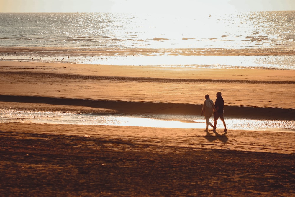 two person walking beside beach