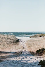 white sand with foot prints near body of water at daytime