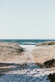 white sand with foot prints near body of water at daytime