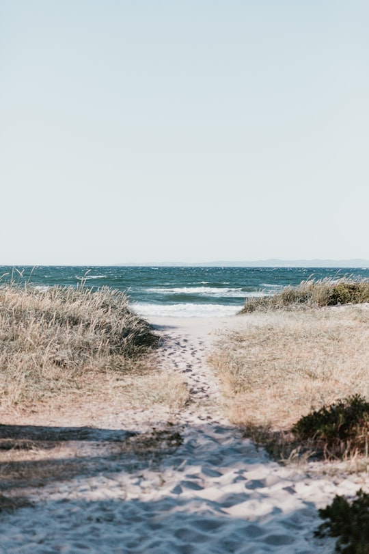 white sand with foot prints near body of water at daytime in Gilleleje Denmark