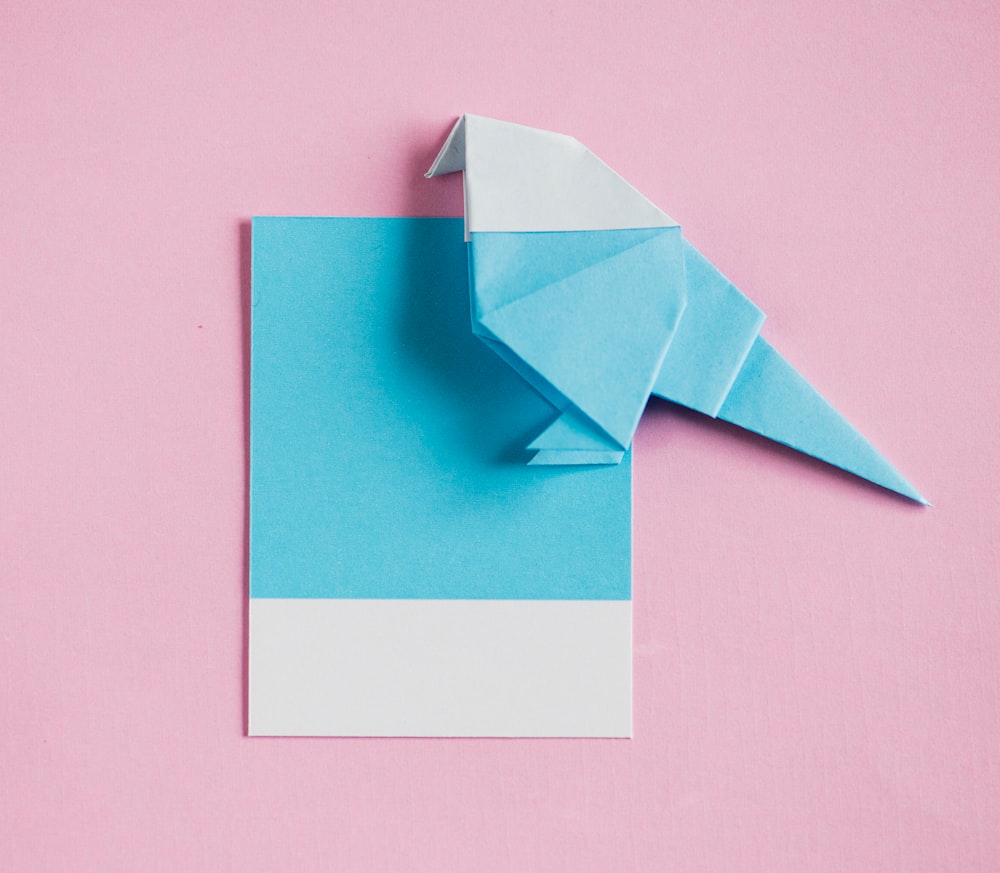 blue-and-white papers on pink surface