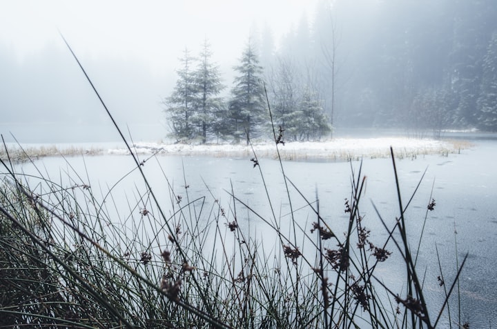 The ice pond near my home