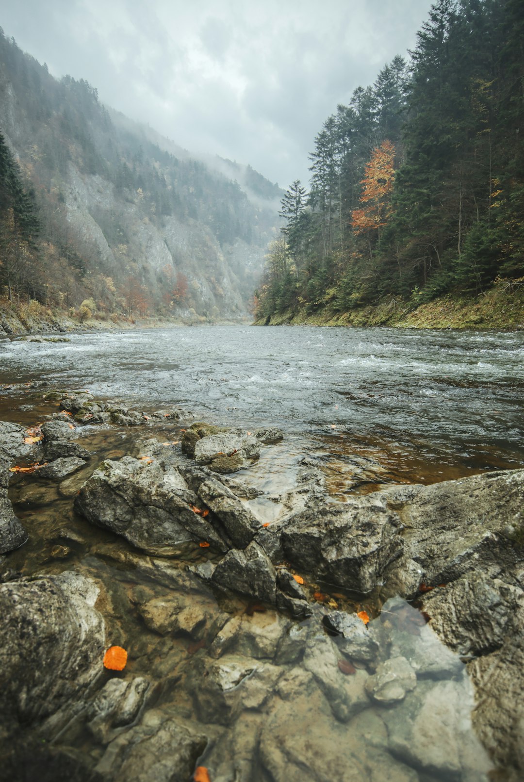 travelers stories about River in ÄŒervenÃ½ KlÃ¡Å¡tor, Slovakia