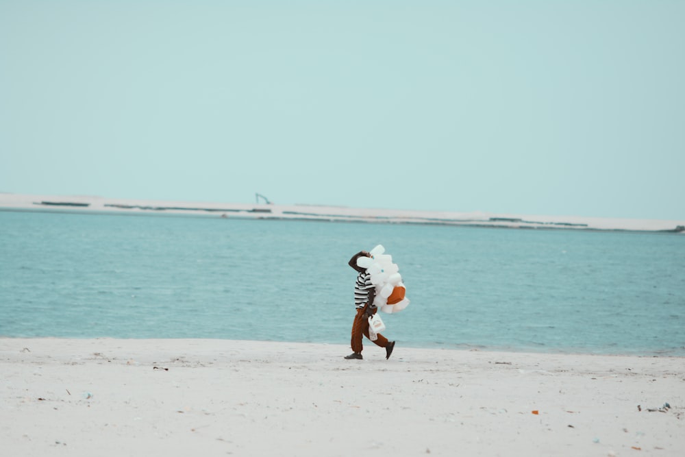 person walking on seashore