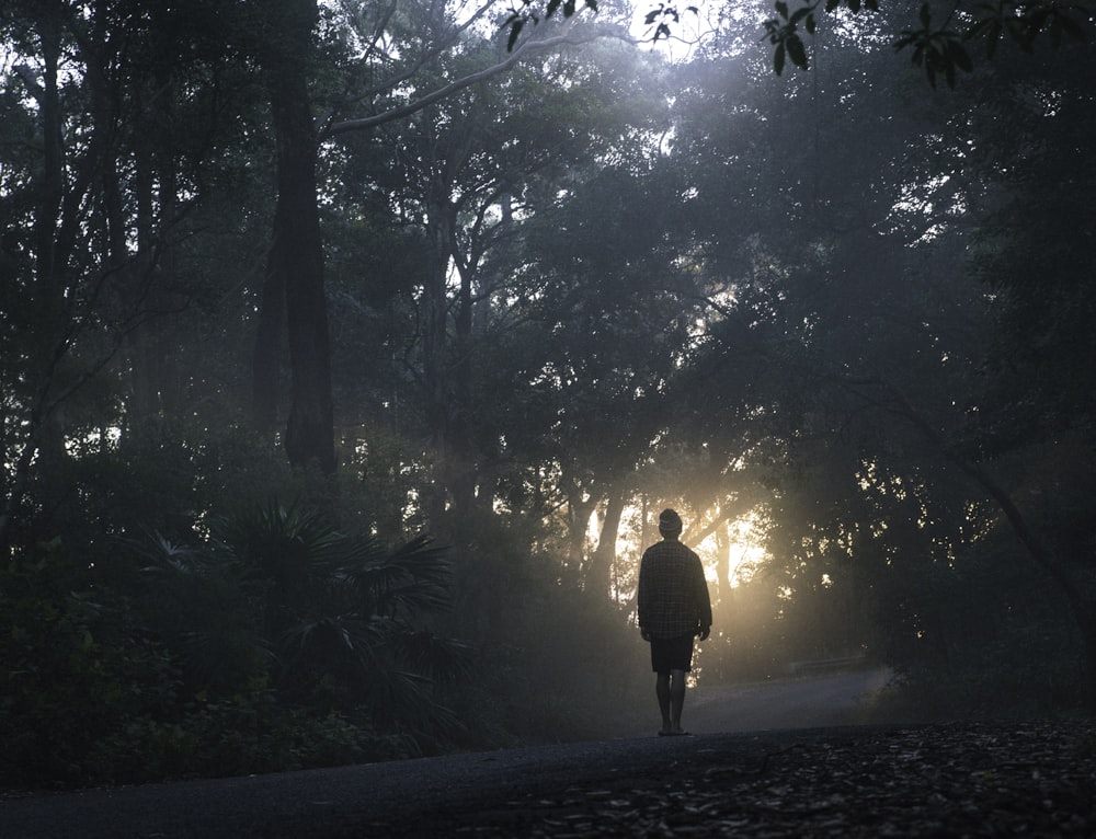 person walking on street between forest