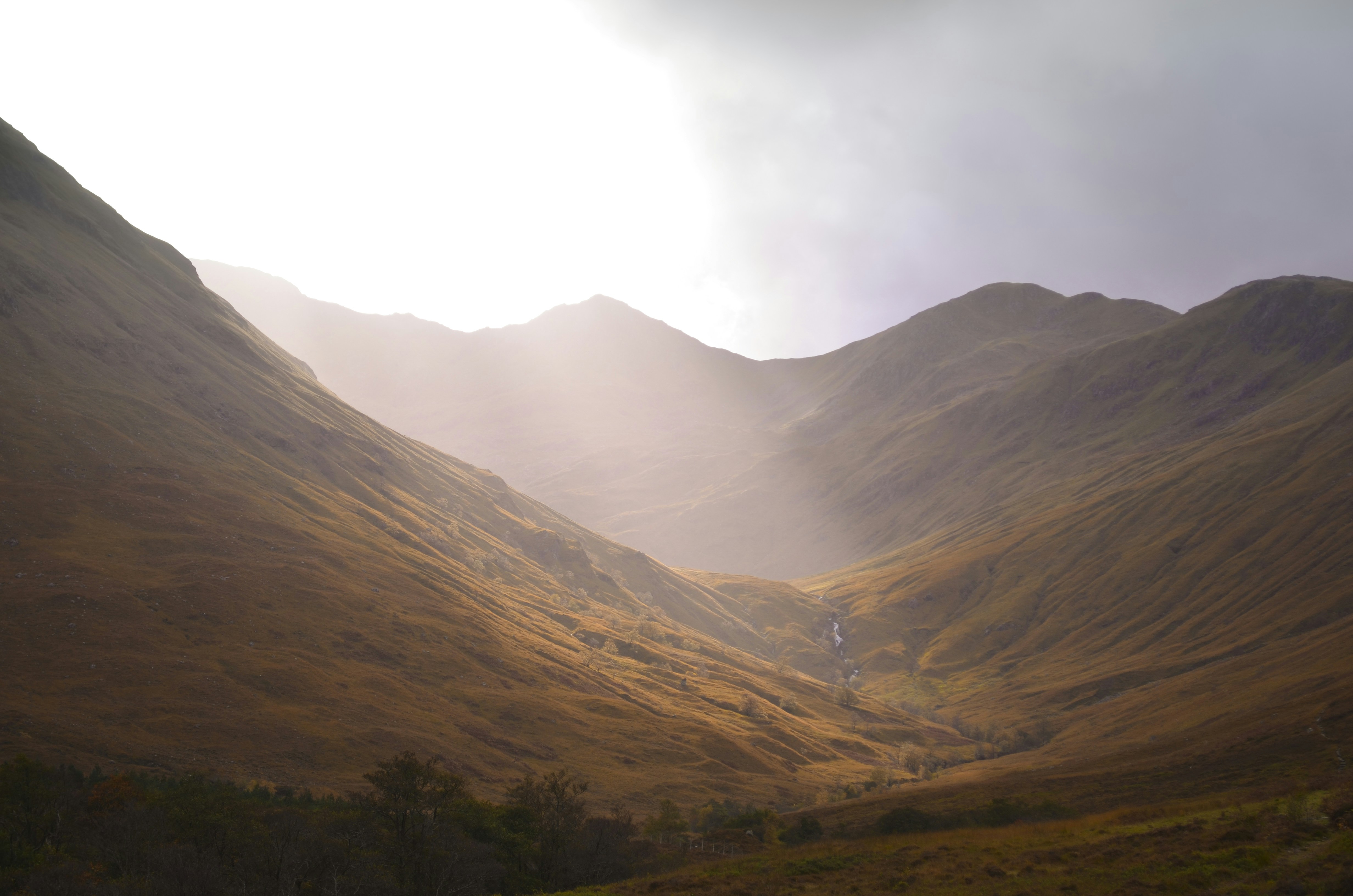 Photo by chrisflexen