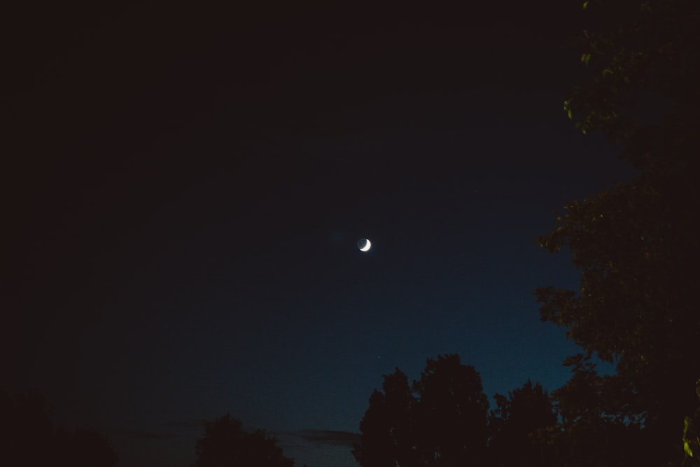 crescent moon