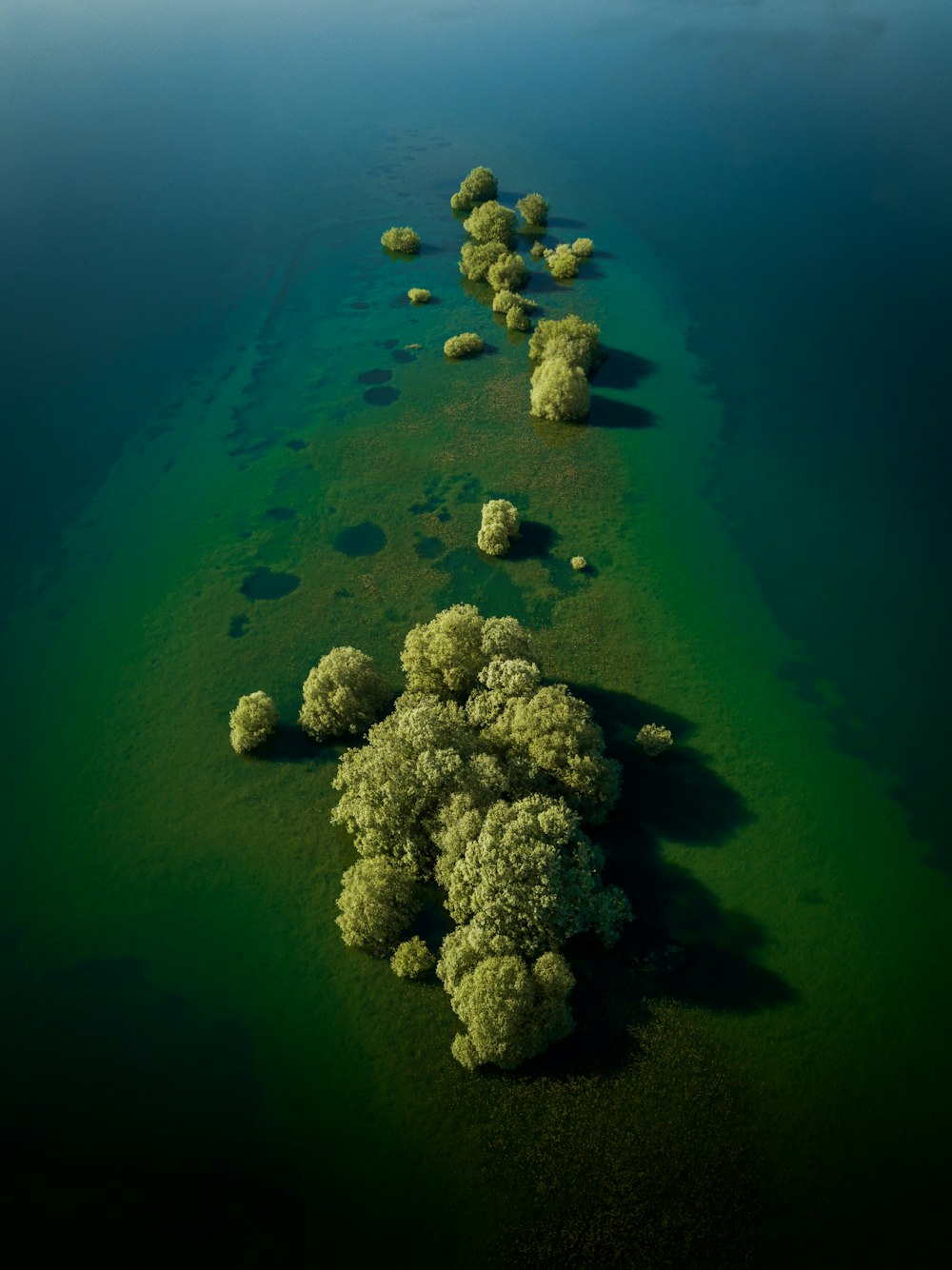 birds eye view of islet