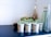 Small pots labeled with different herb names such as basil, coriander, and bok choy are placed on a dark surface. The pots contain young sprouts with vibrant green leaves. In the background, there are bottles and a bowl with what appears to be dried herbs or potpourri.