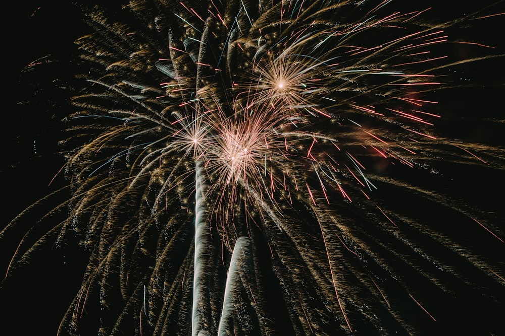 fireworks display