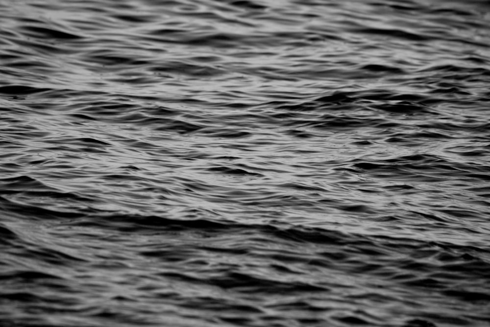 a black and white photo of a body of water