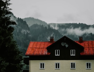 A house with a striking red roof is positioned against a backdrop of misty, forested mountains. The mist partially shrouds the evergreen trees, creating a sense of depth and mystery. Two satellite dishes are visible on the side of the house, suggesting modern connectivity amidst a rural setting.
