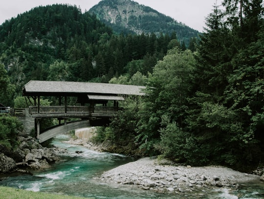 gray wooden walk bridge beside of forest trees in Allgäu Germany