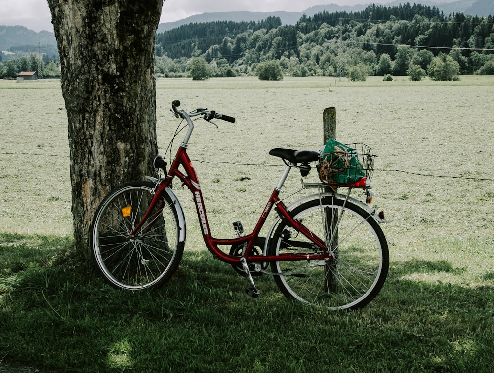 red female beach cruiser bike under tree