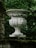 A stone urn with intricate carvings, featuring a face and decorative foliage, is positioned on a moss-covered ledge. The scene is surrounded by dense greenery, creating a serene and natural environment.