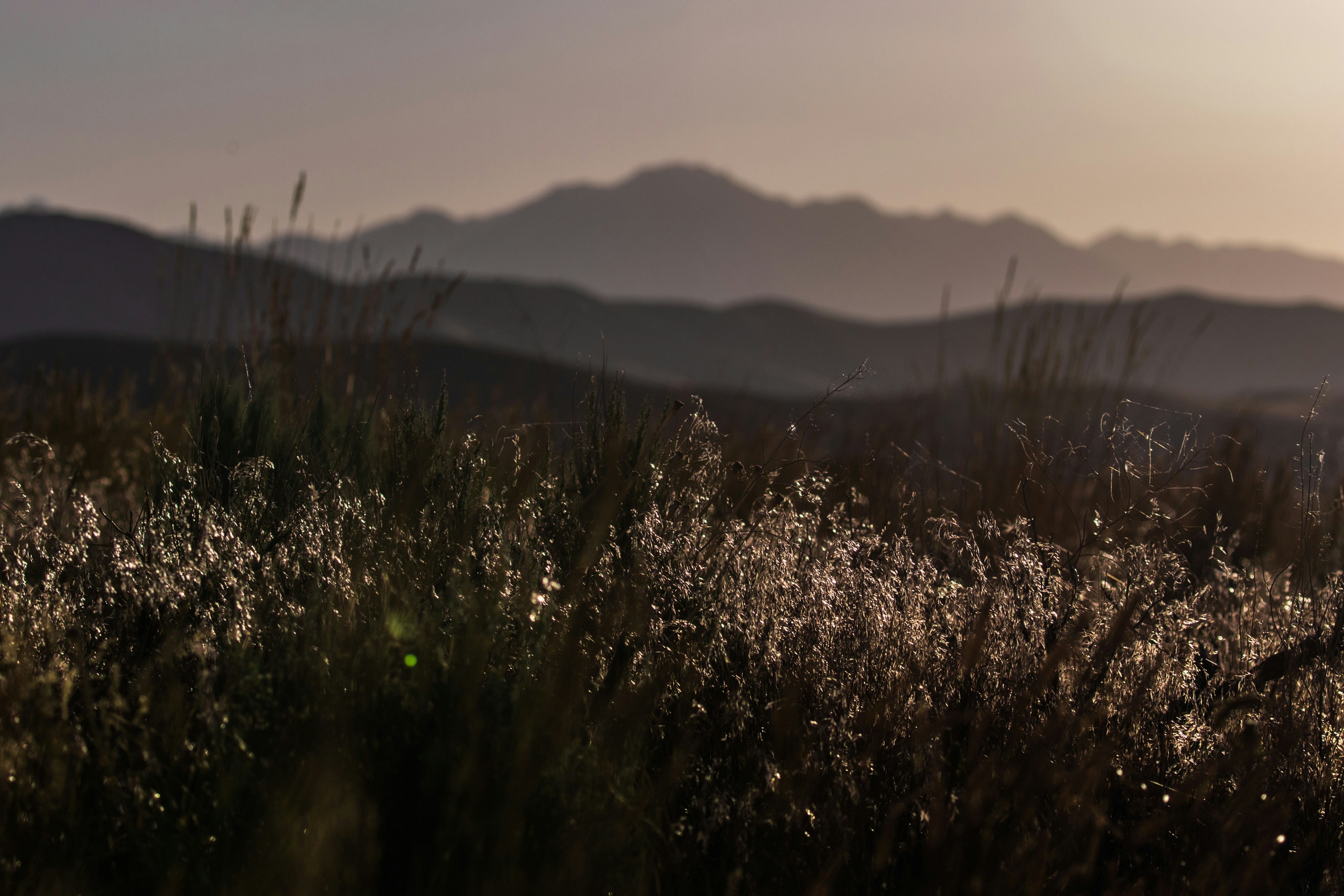 Photo by worldsbetweenlines