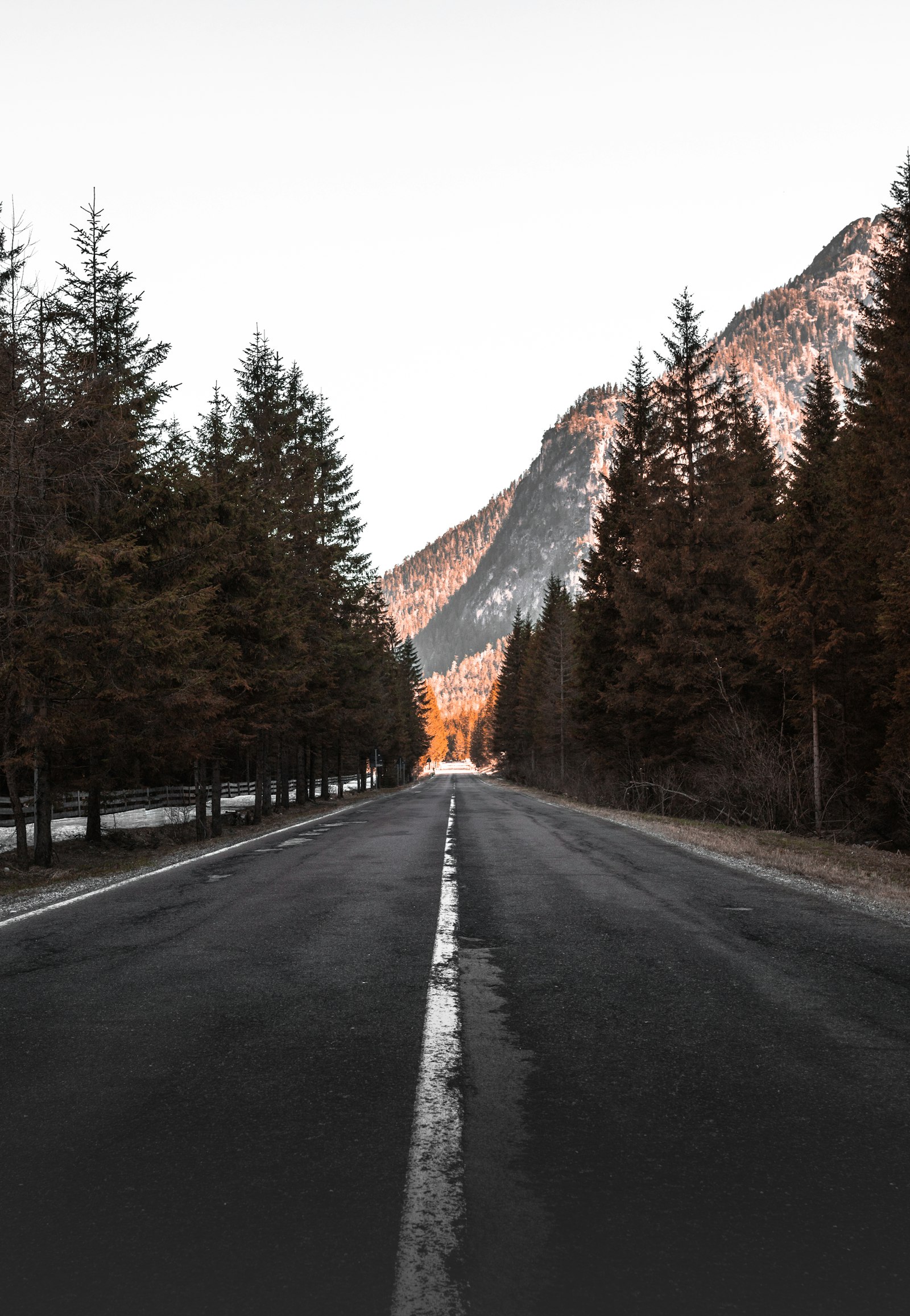 Canon EOS 5D Mark IV + Canon EF 17-40mm F4L USM sample photo. Concrete road between tall photography