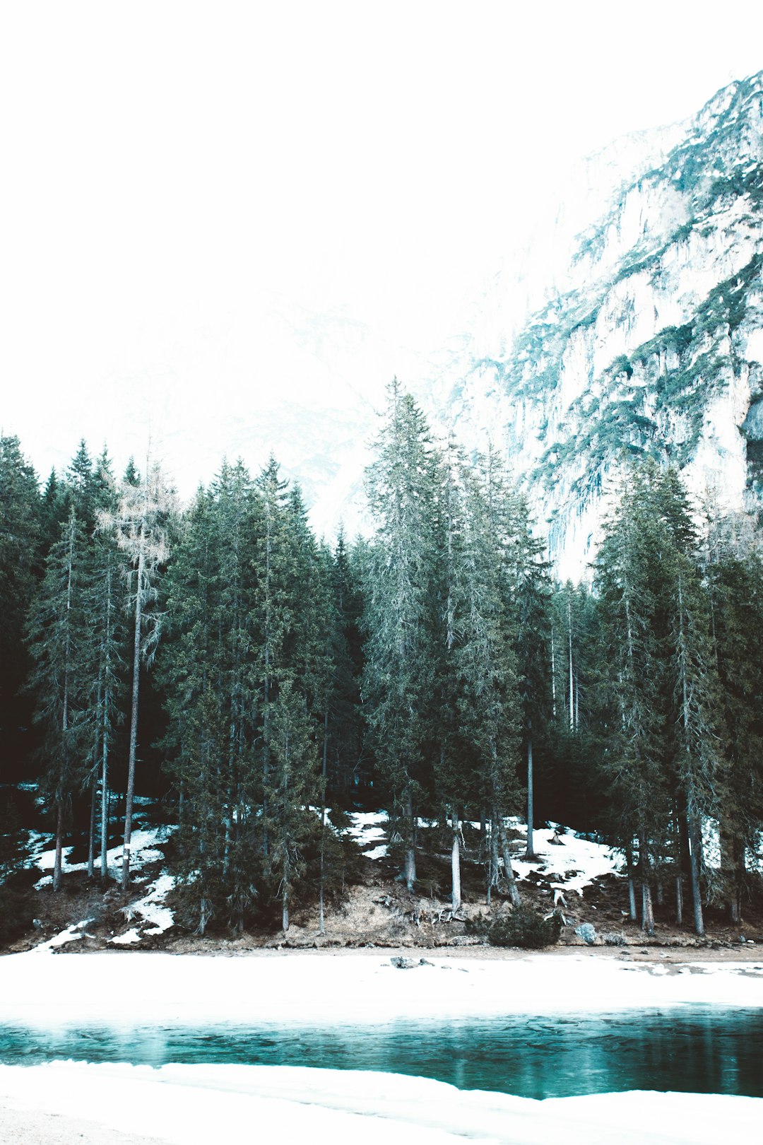 Forest photo spot Pragser Wildsee Dolomites