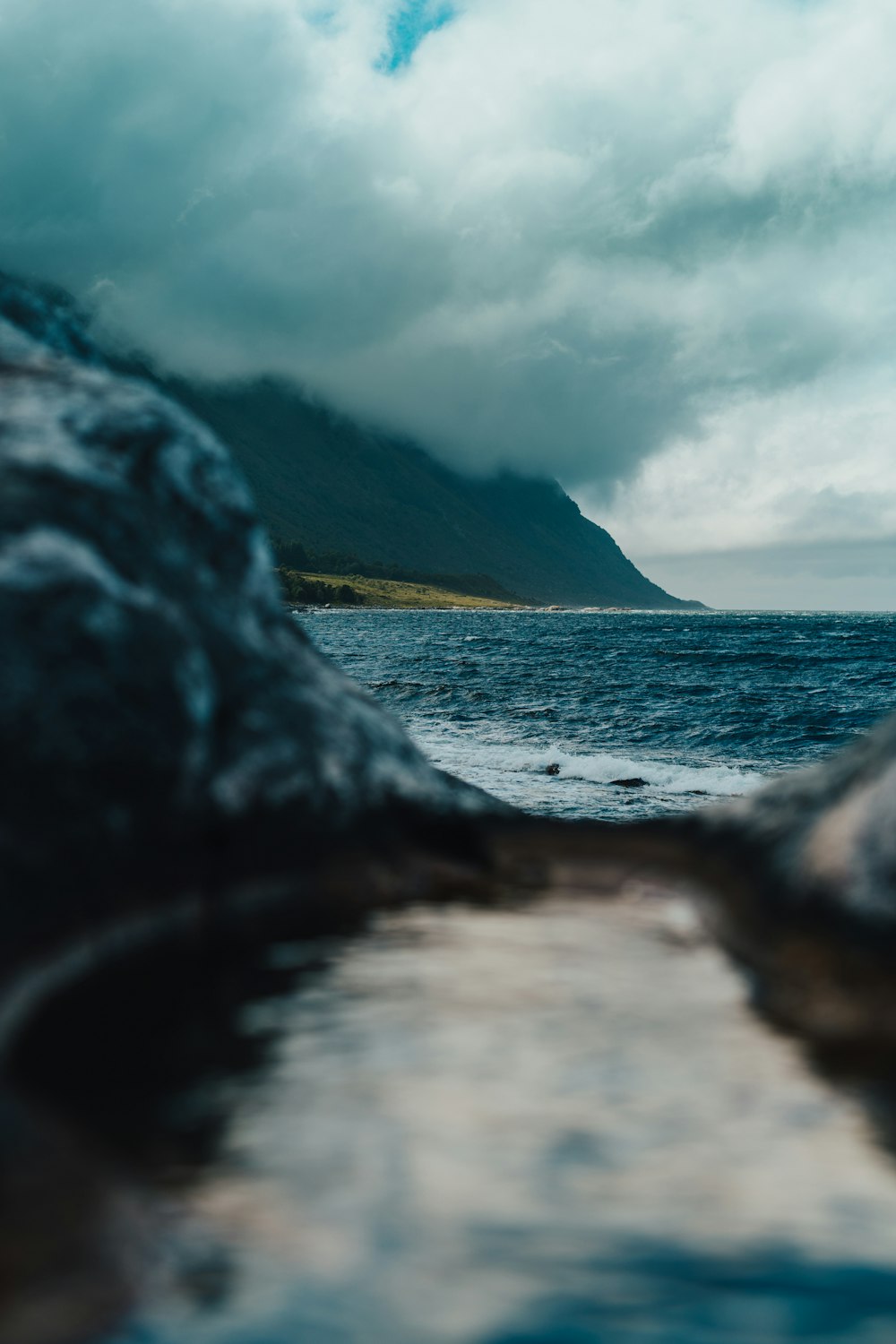 selective focus photography of body of water