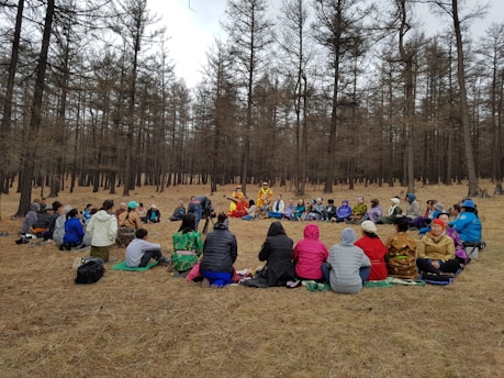 A circle of diverse people sitting quietly on grass in a forest clearing, sharing smiles and calm energy.