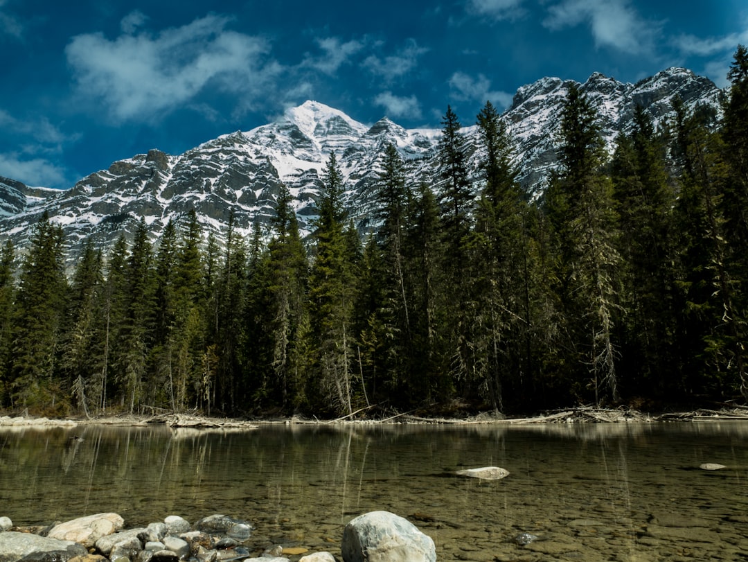 Nature reserve photo spot Mount Robson Athabasca Falls