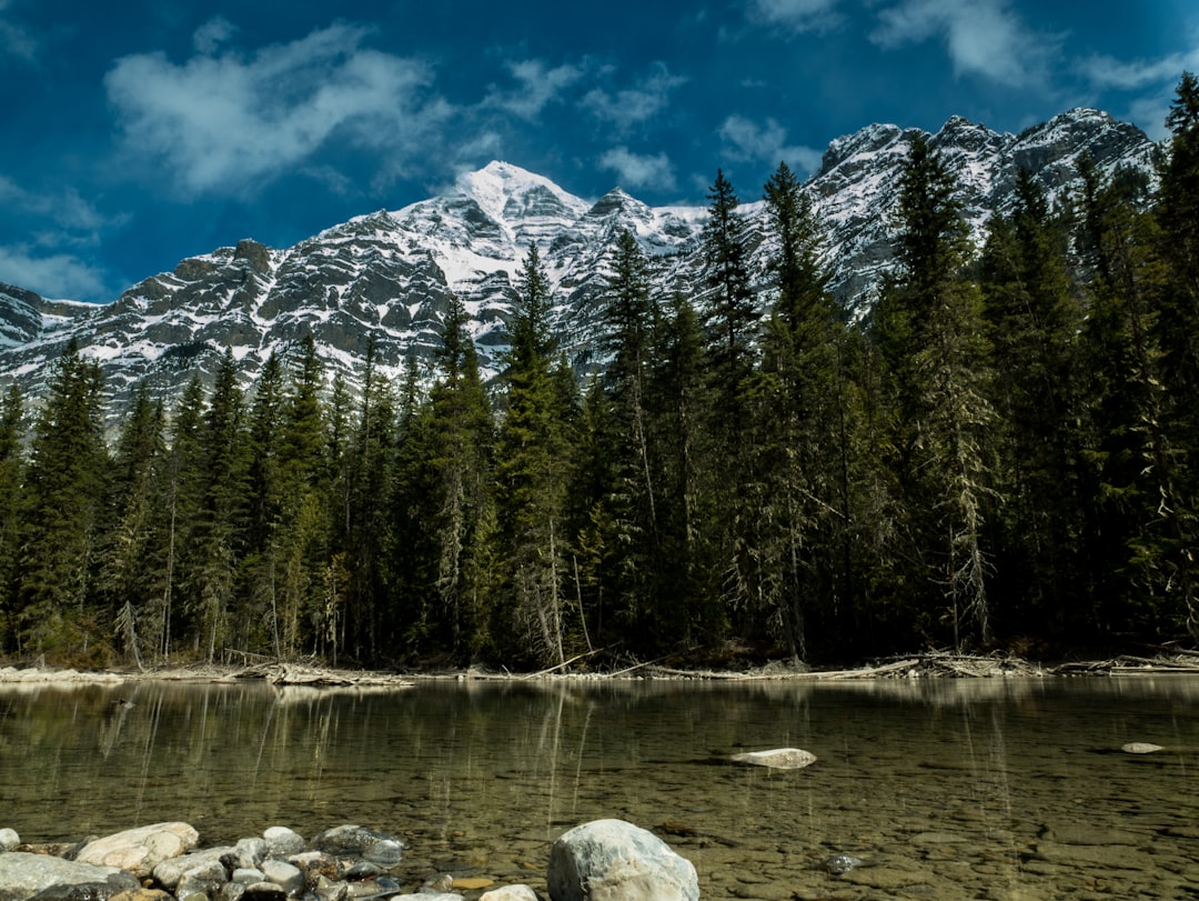 Nature reserve photo spot Mount Robson Jasper National Park Of Canada