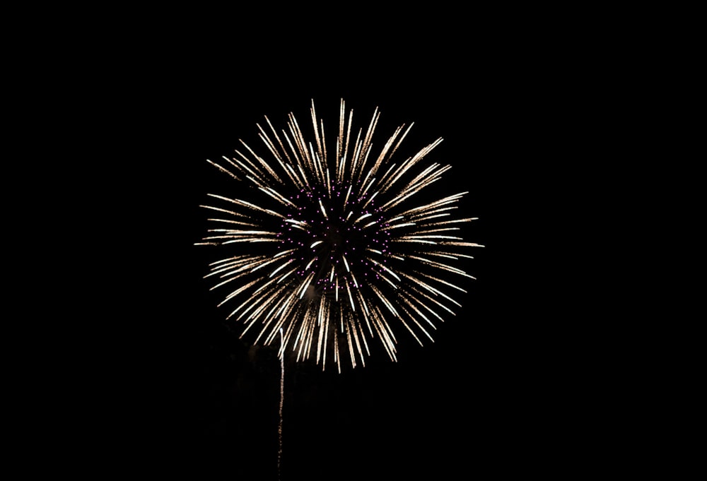 fireworks at night